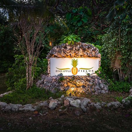 אפרטהוטל גוברנורס הארבור Pineapple Fields מראה חיצוני תמונה