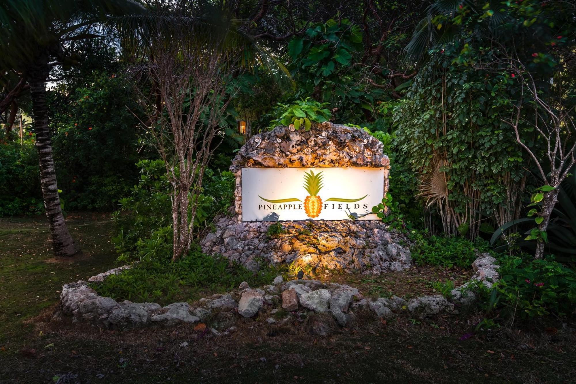 אפרטהוטל גוברנורס הארבור Pineapple Fields מראה חיצוני תמונה